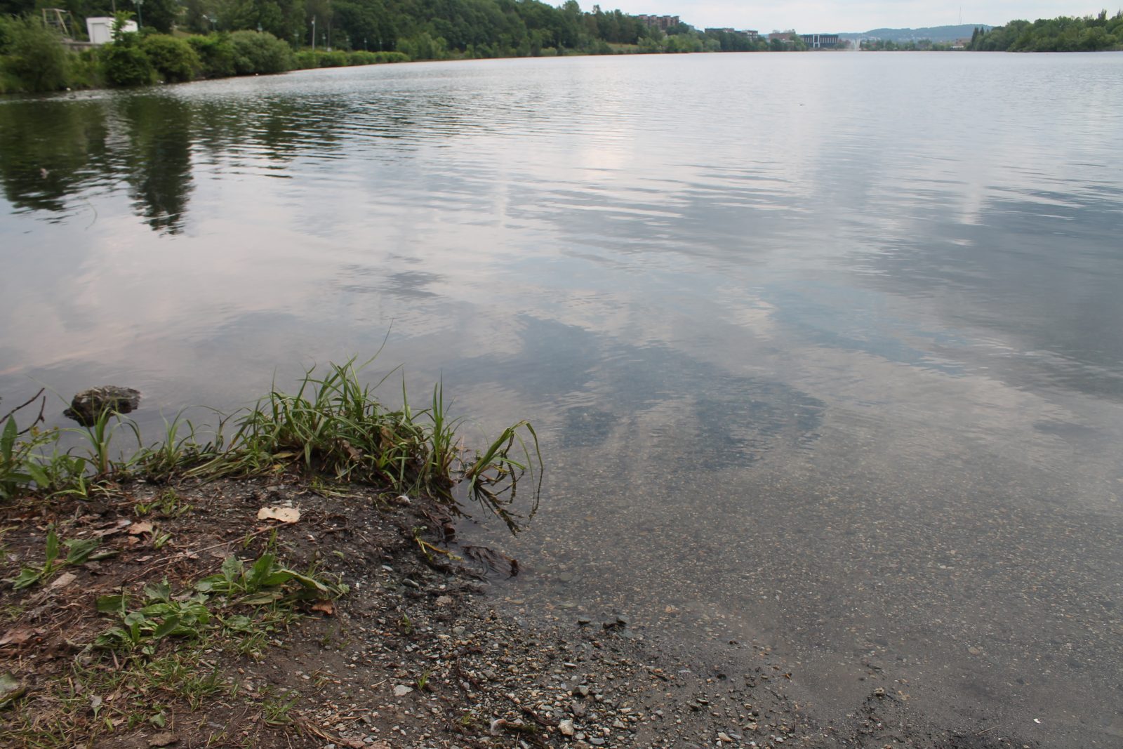 Lac des Nations water raises public health concerns