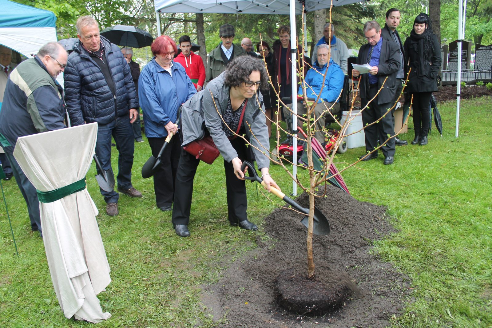 Organ donors ­celebrated through local tree planting