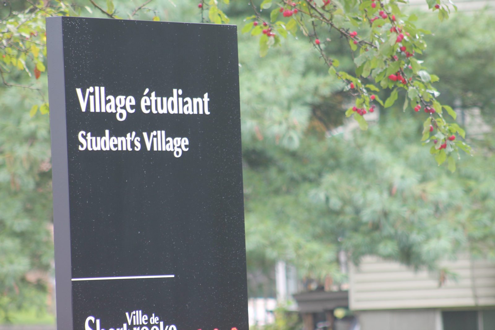 New Student Village sign raises questions