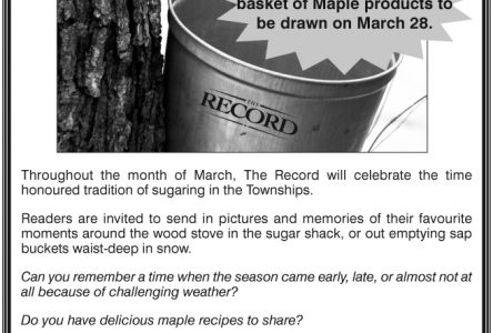 March is maple month