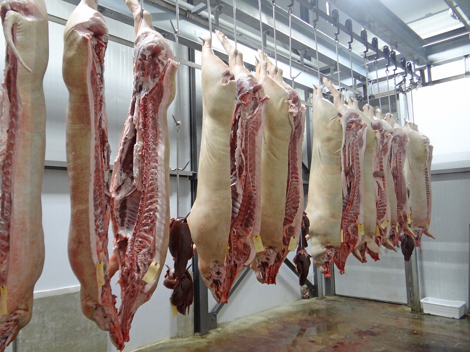 TBL council declines pig slaughterhouse proposal