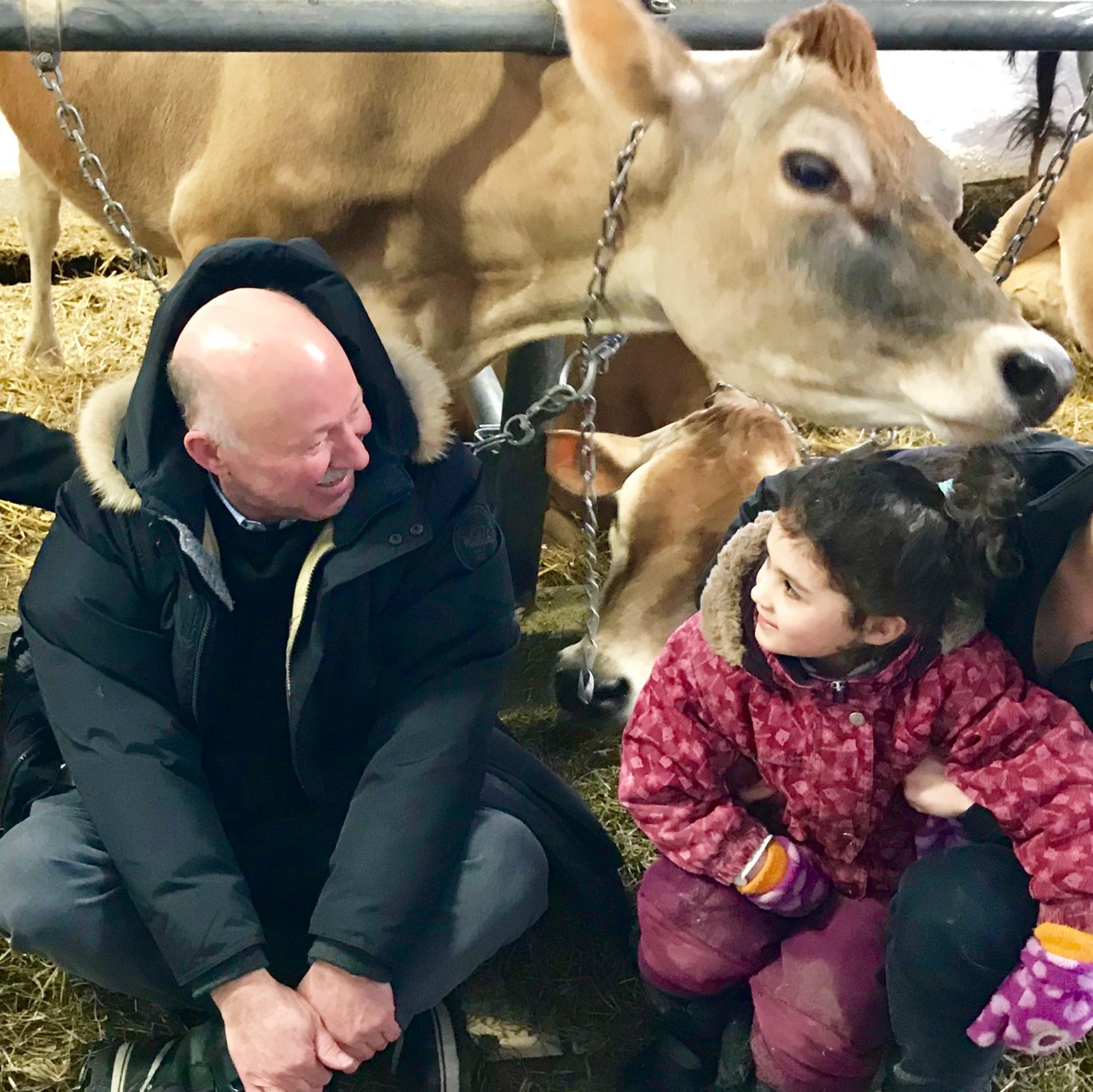 Local dairy farms get boost from federal government