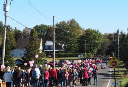 Cancer Walk raises $60K for BMP Foundation