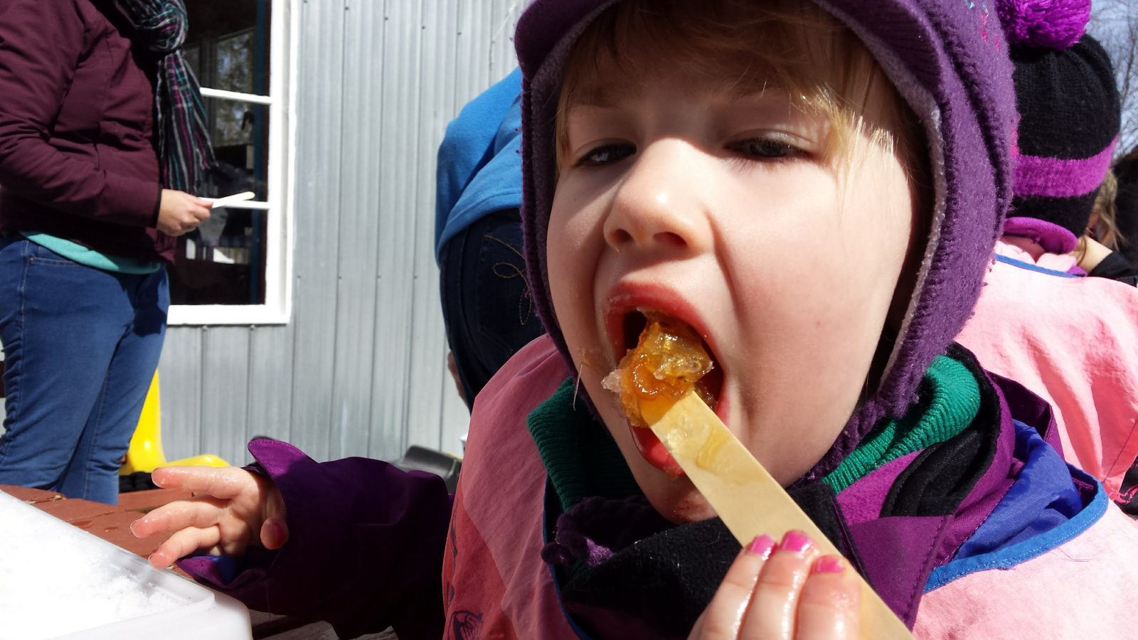 Sweet success: maple producers celebrating a sugary spring