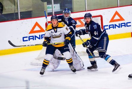 Phoenix take 2-of-3 to close out 2017: Sherbrooke plays Drummondville on Wednesday, Jan. 3rd, to start 2018 at Palais des Sports