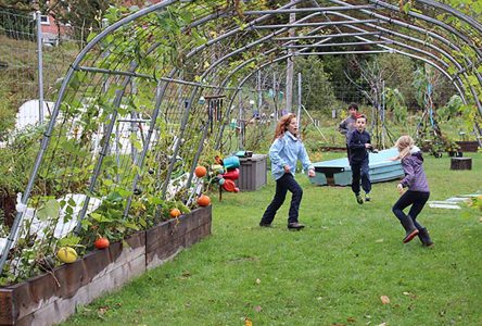 Knowlton Academy students thrilled with garden program