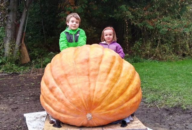 Giant Pumpkin and Harvest Festival in Lennoxville this weekend