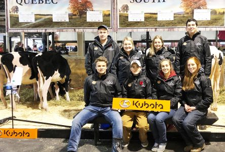 Eight 4-H members representing the Townships in Toronto’s Royal Fair