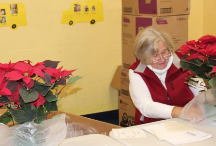Lions Club and ­community volunteers prepare Christmas baskets
