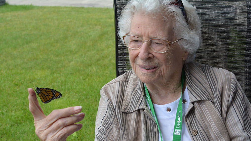 The butterflies’ midwife: Shirley Rublee on raising endangered monarchs