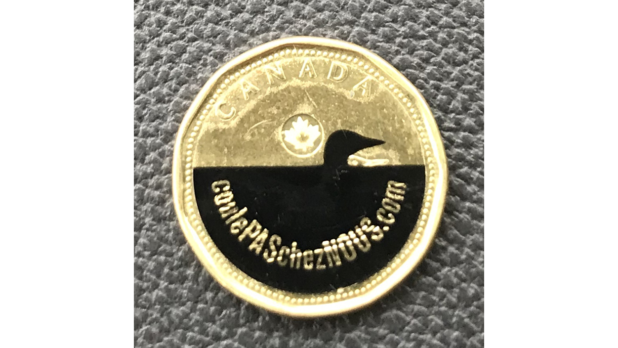 Oil spill loonie surfaces in Sherbrooke