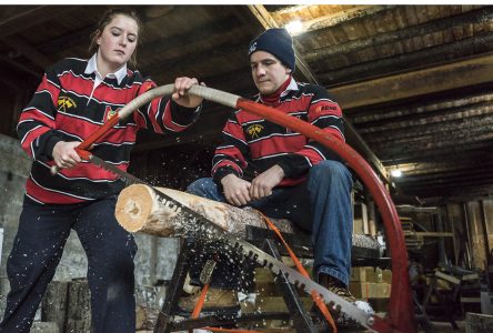 Strange sports in the Townships: Woodsmen competitions