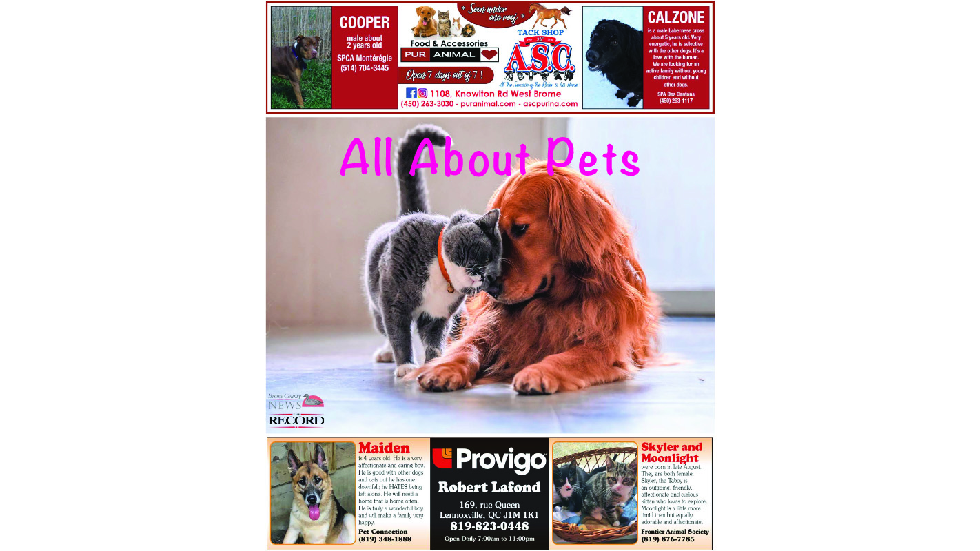All About Pets – Special Supplement November 26, 2019