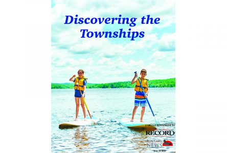 Discovering the Townships