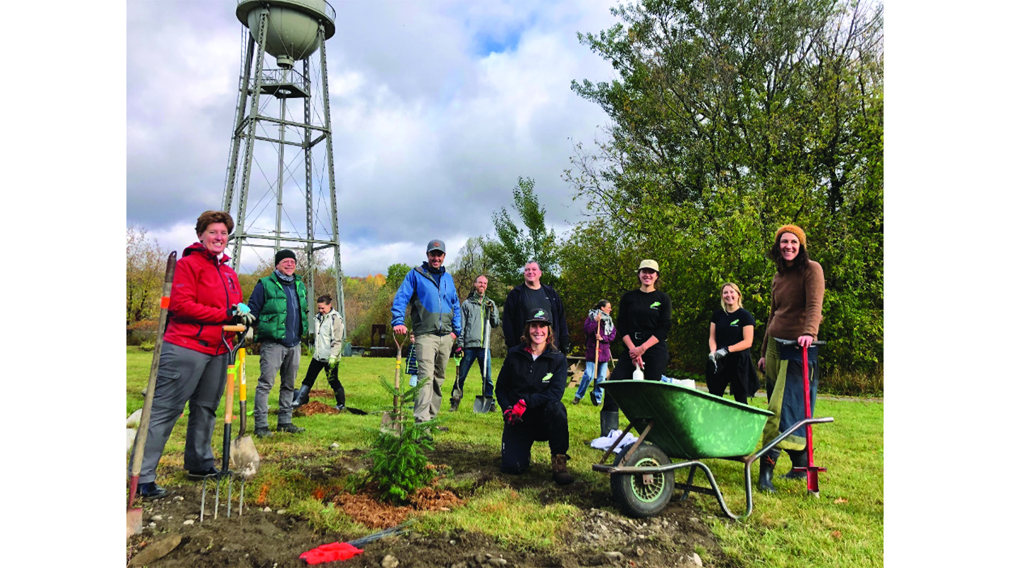 Over 500 trees planted in Waterville