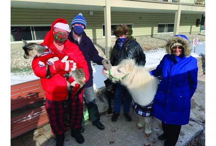 Furry friends visit local  seniors’ residences