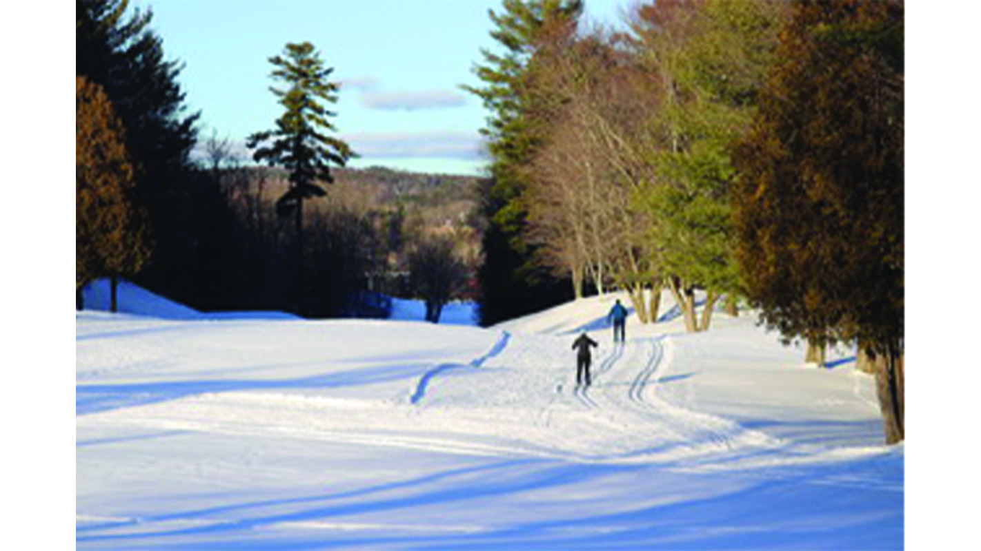 Old Lennox Club provides recreational and elite cross-country skiing