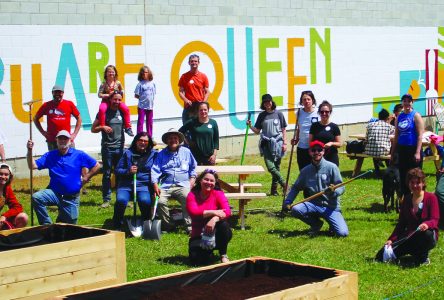 Sowing the seeds of community in Square Queen