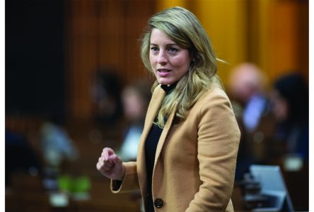 Official Languages Act reform draws  mixed reviews