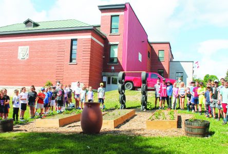 Lennoxville Elementary students getting into gardening
