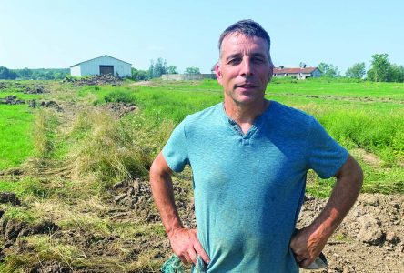 Dairy farmer defends burning wood, but residents worry about safety
