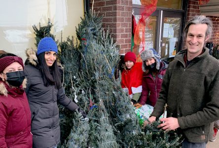 Actions Interculturelles keeping spirits high for the holidays