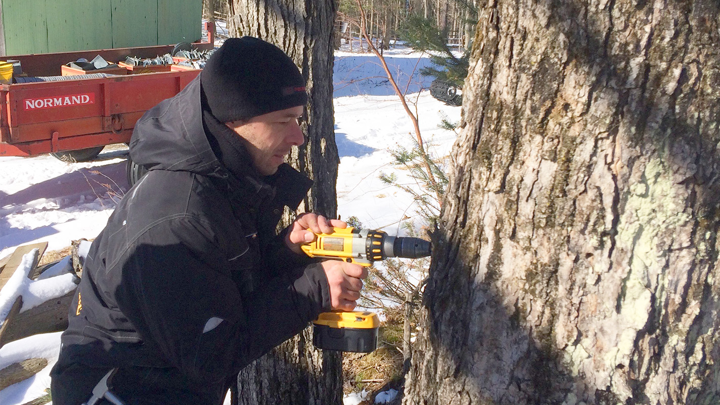 Sugaring season at the mercy of Mother Nature