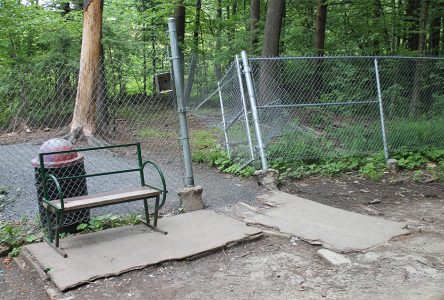 View Point park vandalism sparks  renewed concerns