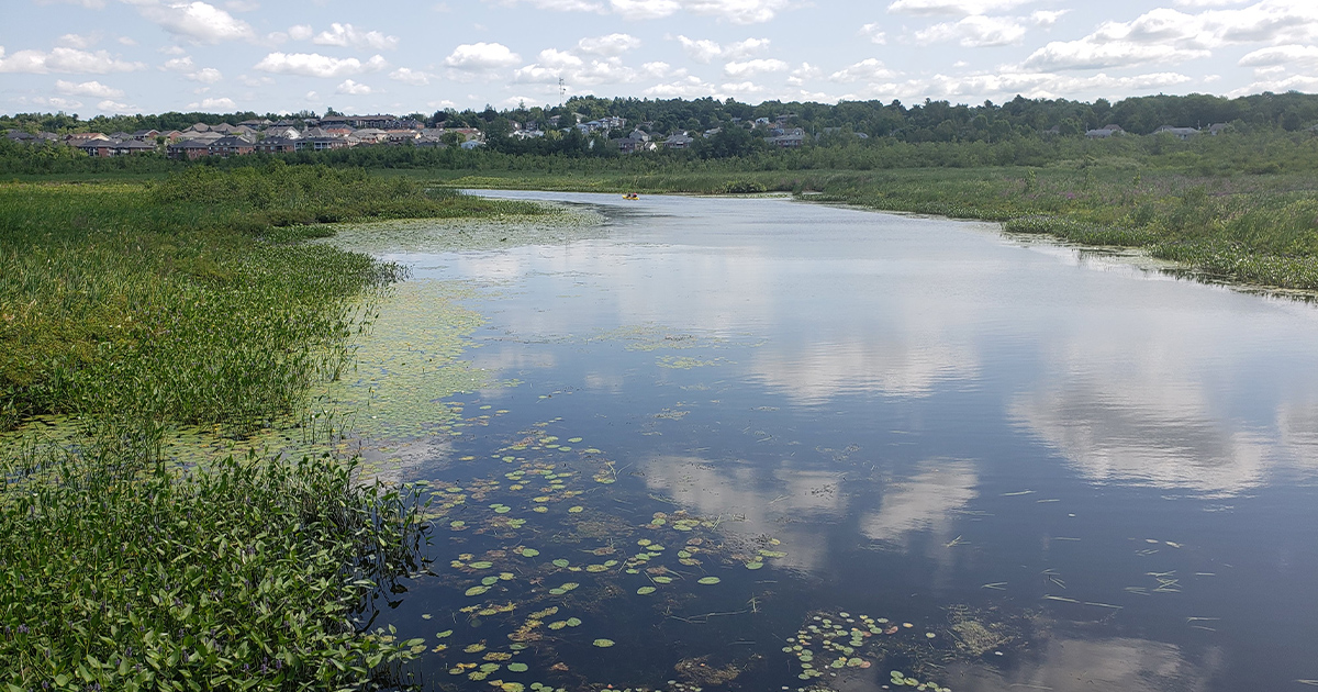 Cherry River Marsh association urging greater caution this summer