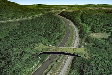 Appalachian Corridor details ecological connectivity plan