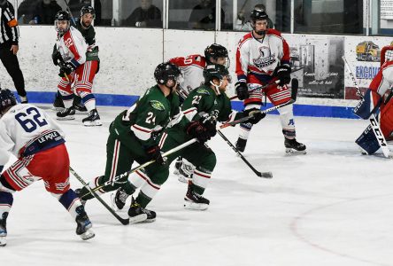 New hockey season takes to the ice Friday for the Windsor Wild