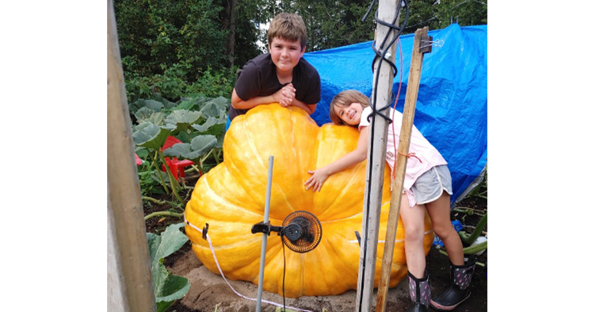 Giant pumpkin festival returning to Lennoxville this fall