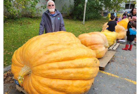 Lennoxville welcomes fall with thousands of pounds of pumpkin