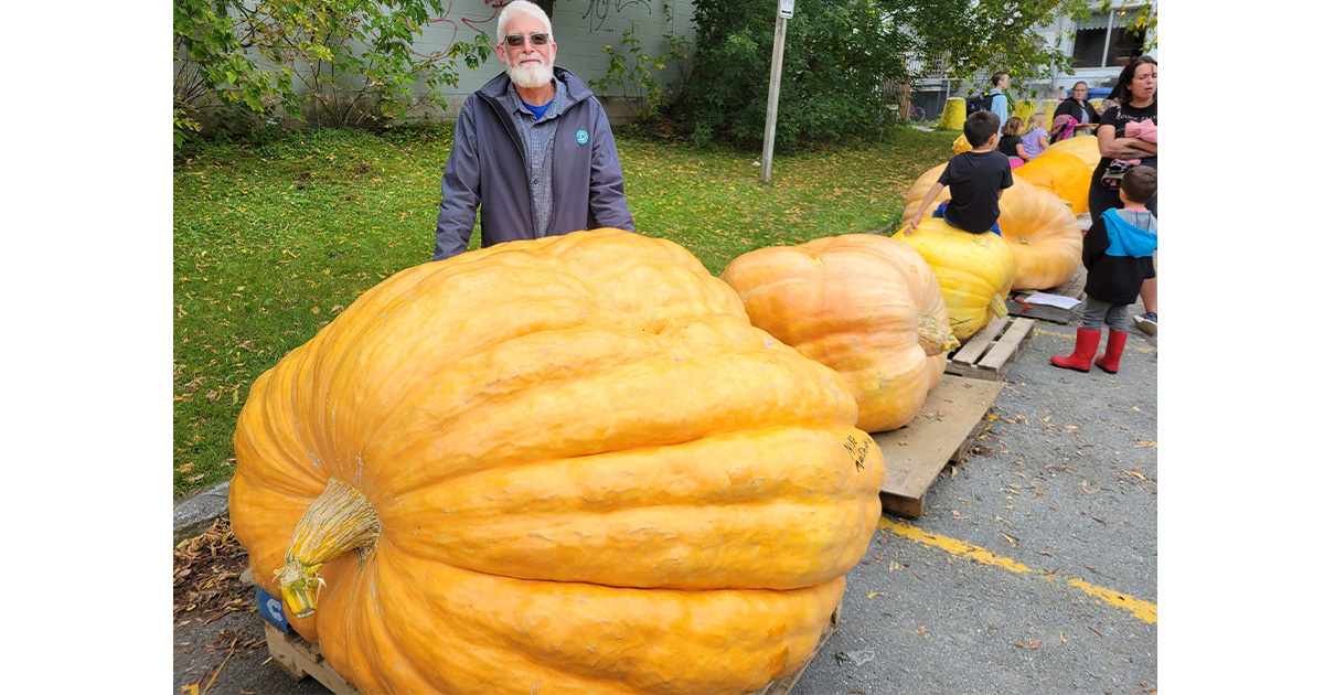 Lennoxville welcomes fall with thousands of pounds of pumpkin