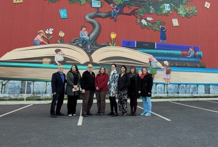 Lennoxville Elementary “tree of knowledge” reaches to new heights