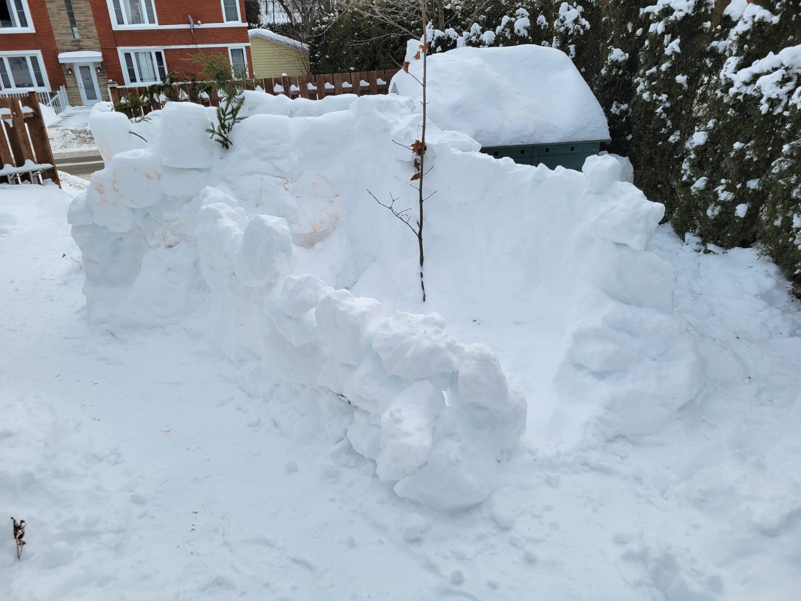 Snow fort builders not beaten by shortage of snow