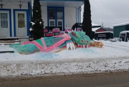 Fantastical, imaginative snow sculptures in Richmond