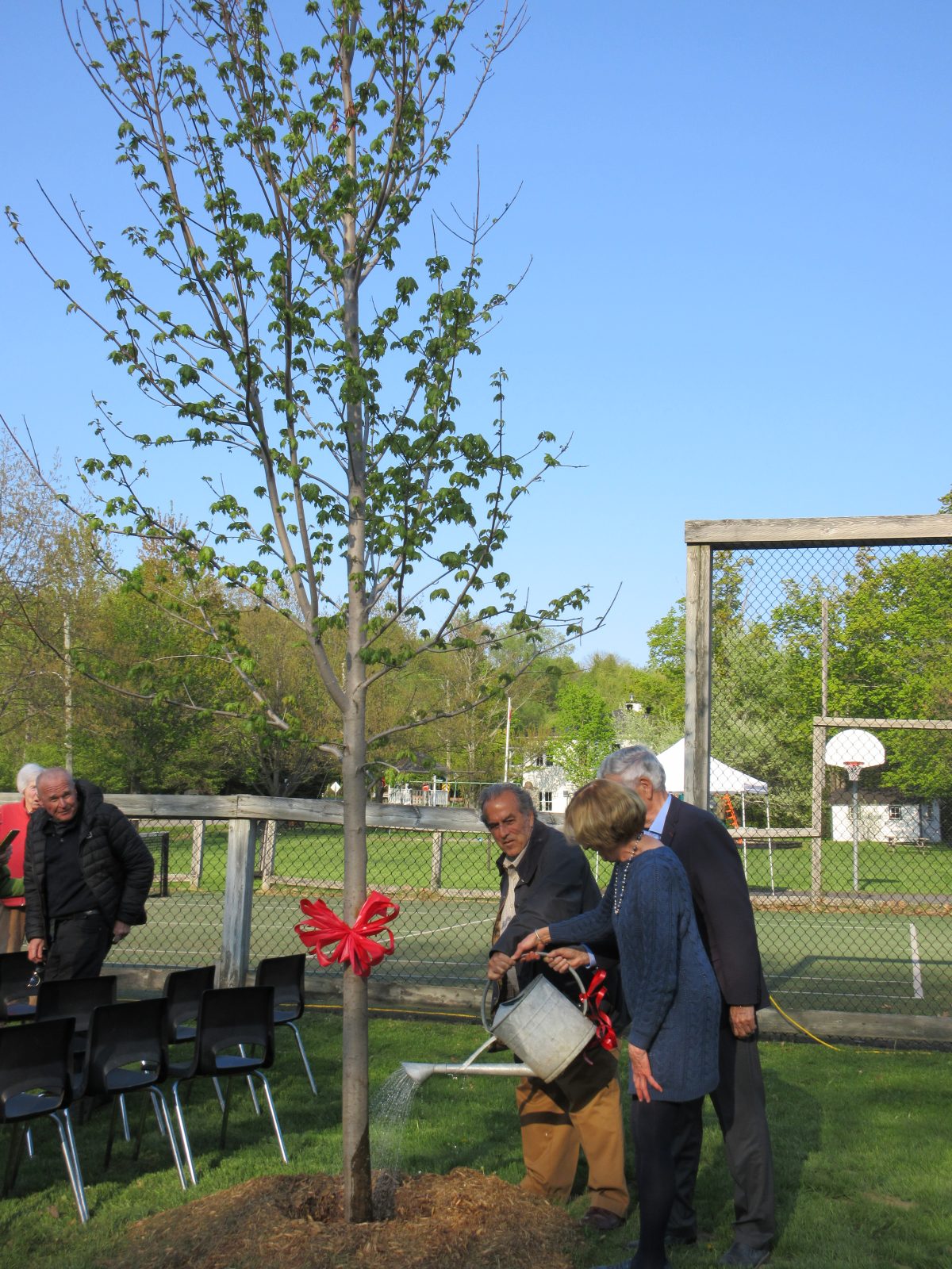 Tree planting ceremony honours Molson Island donation to conservancy