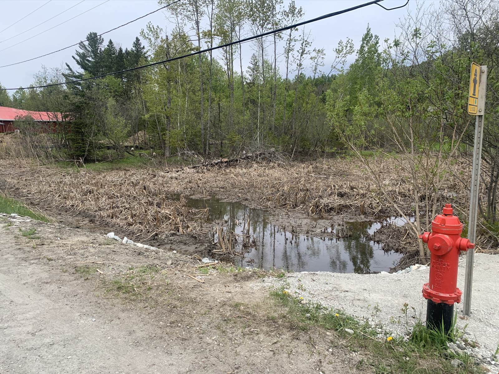 City of Sherbrooke drains Lennoxville swamp