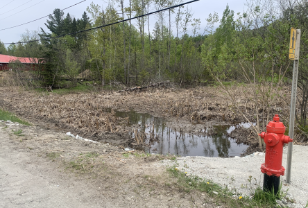 City of Sherbrooke drains Lennoxville swamp