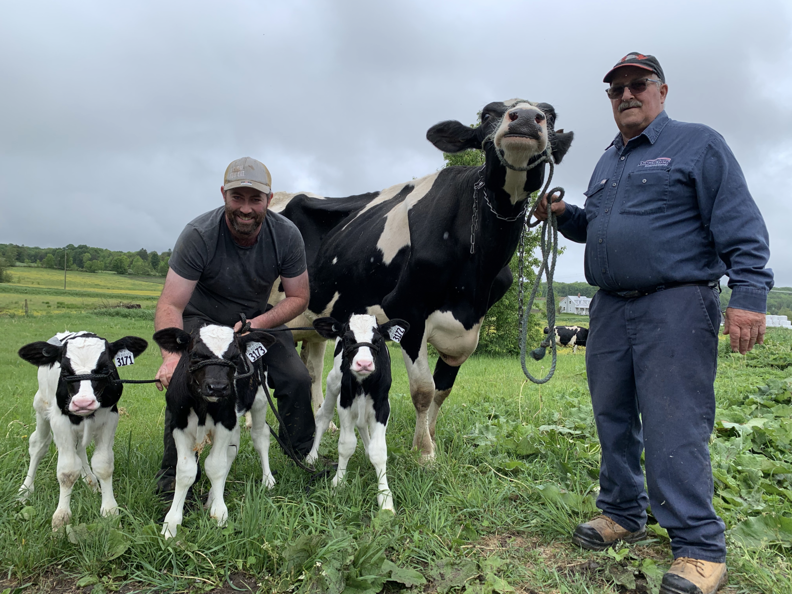 Nelsondale Farm welcomes triplet bull calves to the family