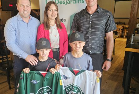 Minor hockey teams to bear the name Desjardins – Wild