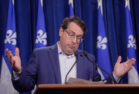 Drainville statements “bluster and bombast”, school board chair says
