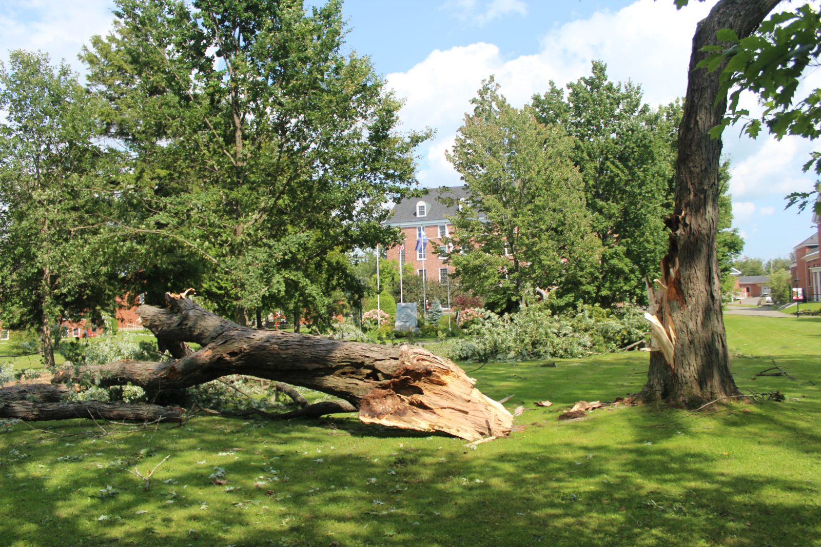 Recent wind damage to Stanstead caused by microburst