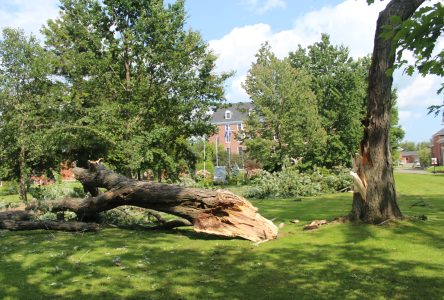 Recent wind damage to Stanstead caused by microburst