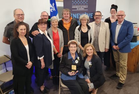 Hébert awards medals to local community builders
